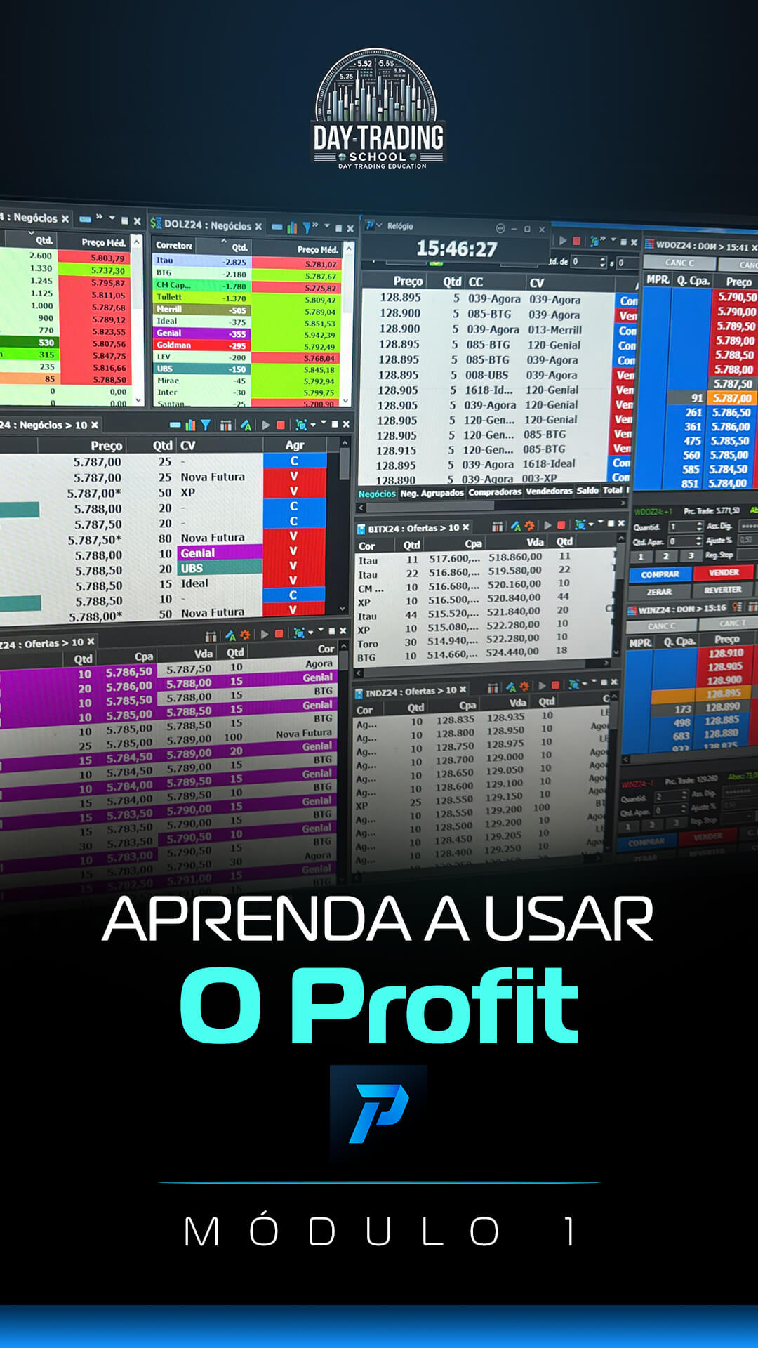 Módulo-1---Aprenda-a-usar-o-Profit